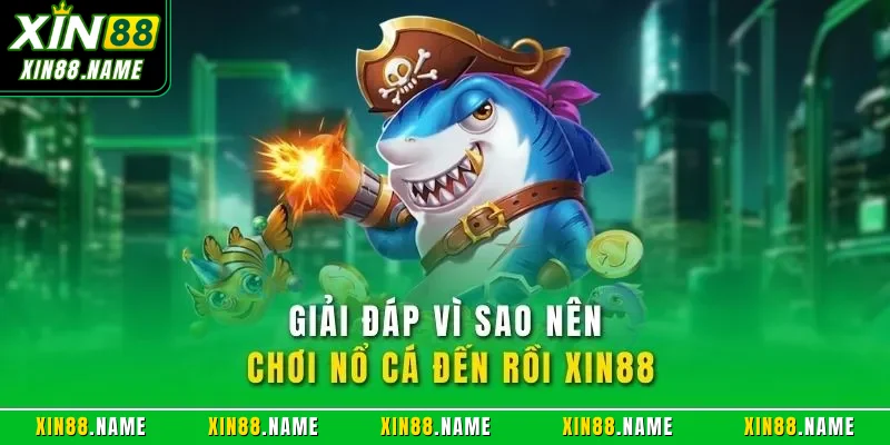 Nổ Cá Đến Rồi XIN88| Hướng Dẫn Săn Boss Và Kiếm Thưởng Khủng 4 Giải đáp vì sao nên chơi nổ cá đến rồi XIN88